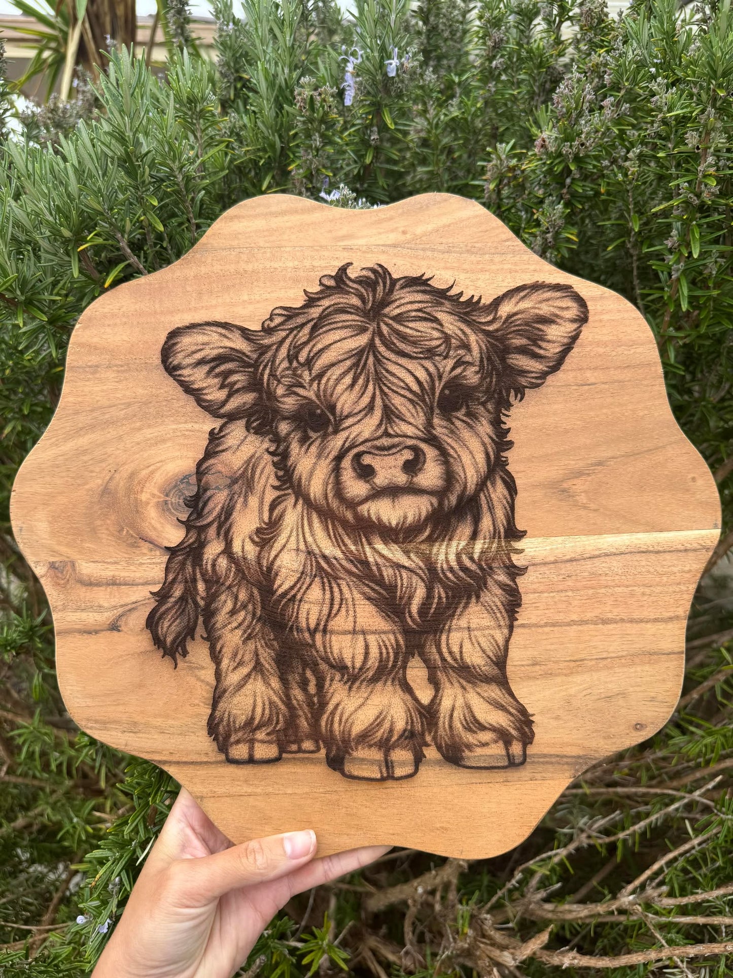 BB Cow Board